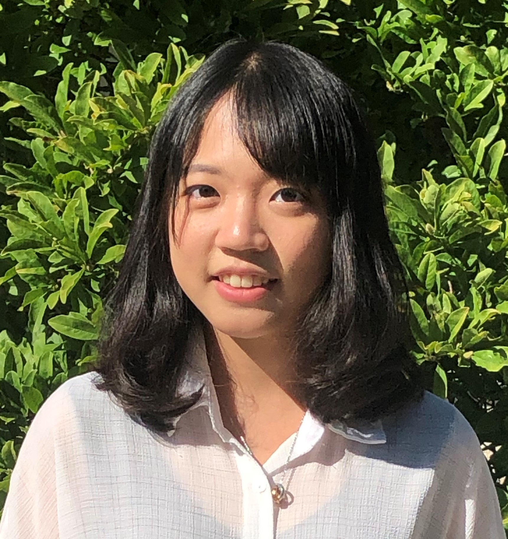 Li Hsu