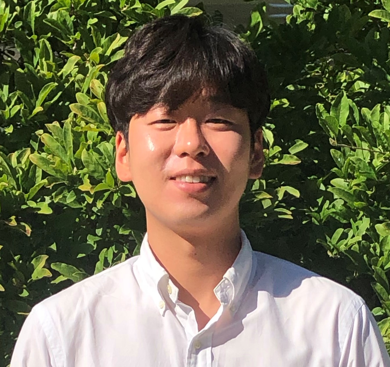 Sungsik Hwang